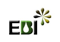 EBI INVESTIGAÇÃO E DESENVOLVIMENTO, LDA