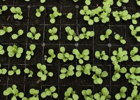 Workshop | BIOCIDAS – RPB : Orientação para empresas