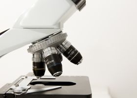 Auditores internos NP EN ISO 13485 – Sistemas de Gestão da Qualidade de Dispositivos Médicos