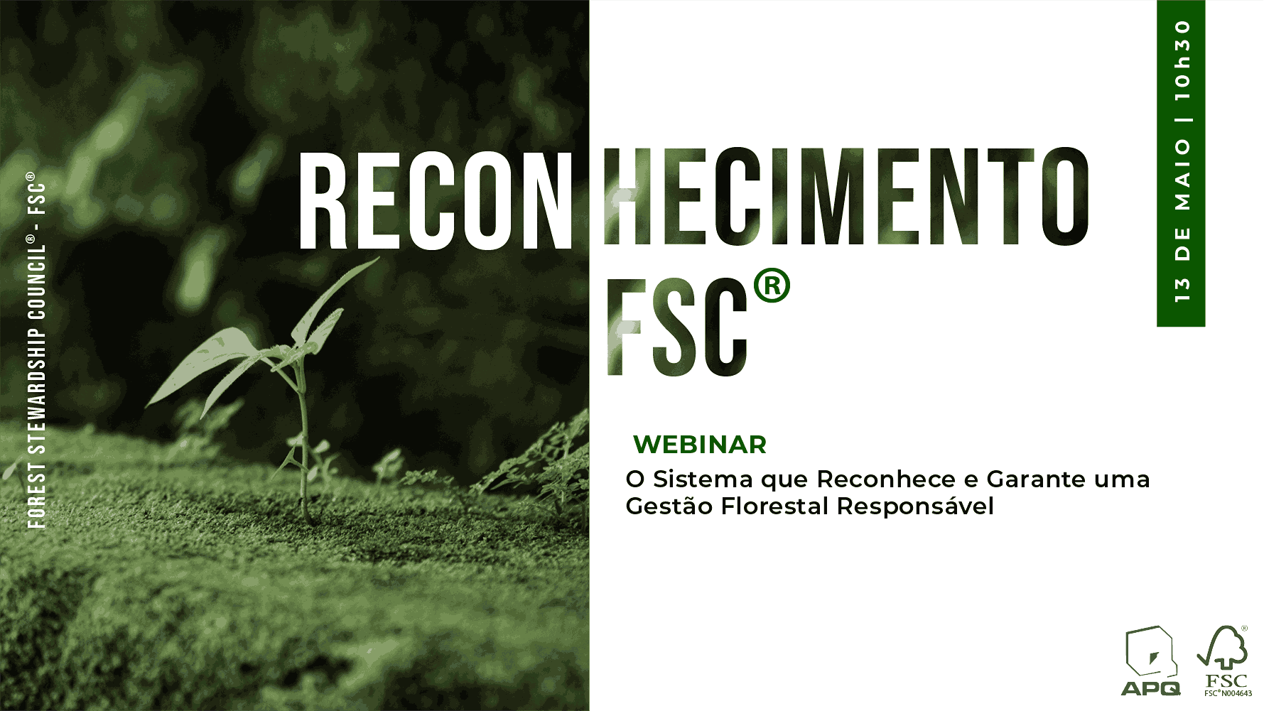 Webinar |  Reconhecimento FSC® – O Sistema que reconhece e garante uma gestão florestal responsável